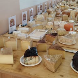 Tavolo reale di degustazione con i formaggi in valutazione