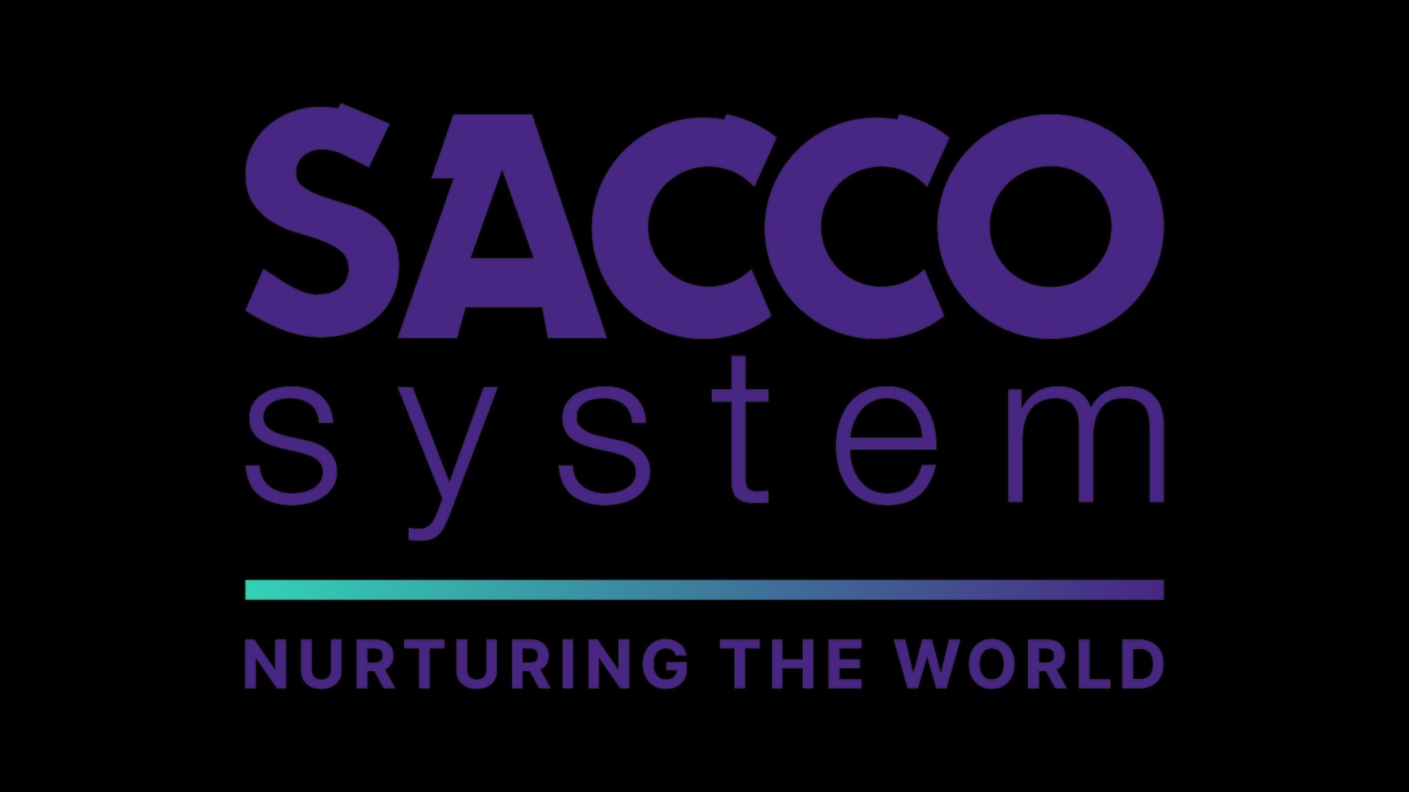 Logo Sacco System